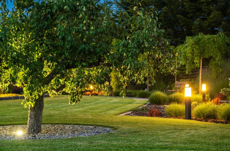 amenagement paysager jardin