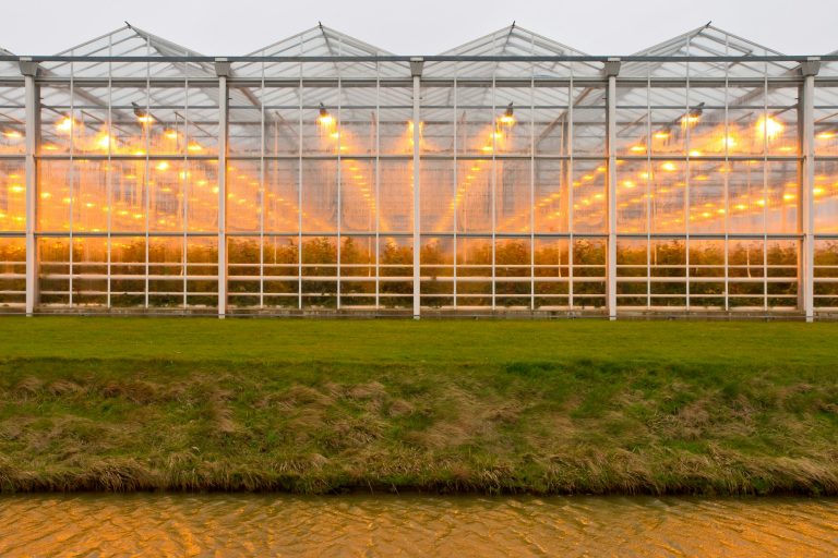commercial building standards