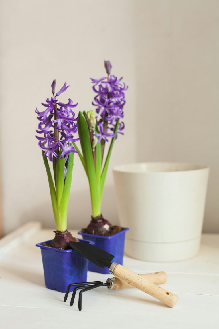 ecological interior decoration 1