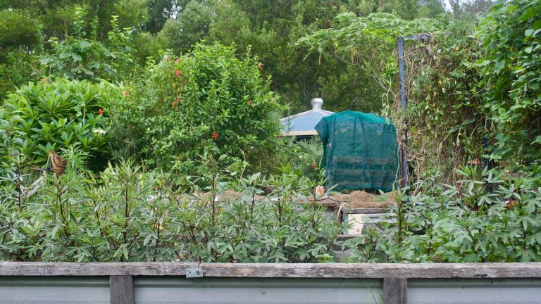 ecological permaculture garden