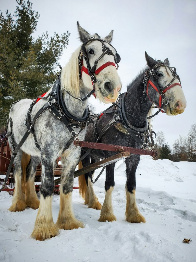 maison forage raccorder